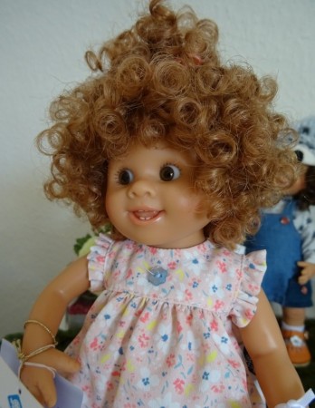 Ida Majda, Rosemarie Anna Müller, Schildkröt, sběratelská